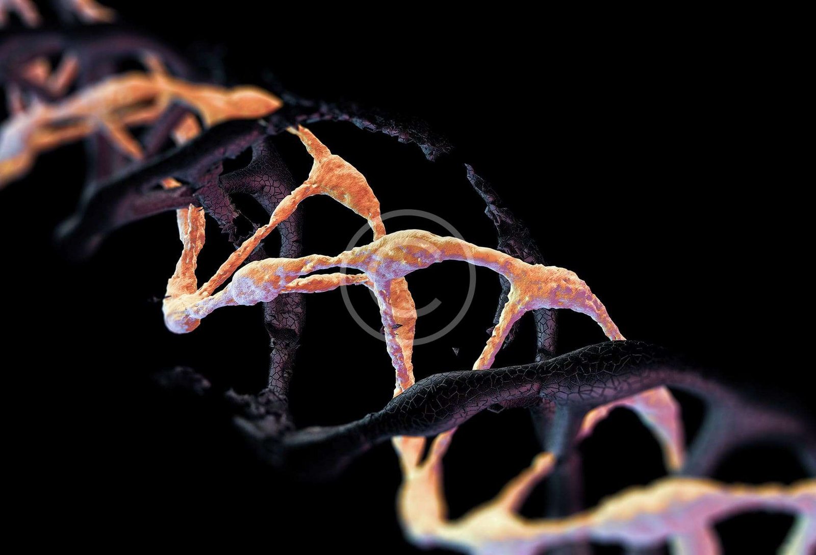 Genetic data