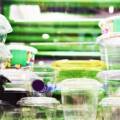 Freeze Concentration and Packaging Innovations for Liquid Foods: Engineering Premium Quality Through Advanced Low-Temperature Processing